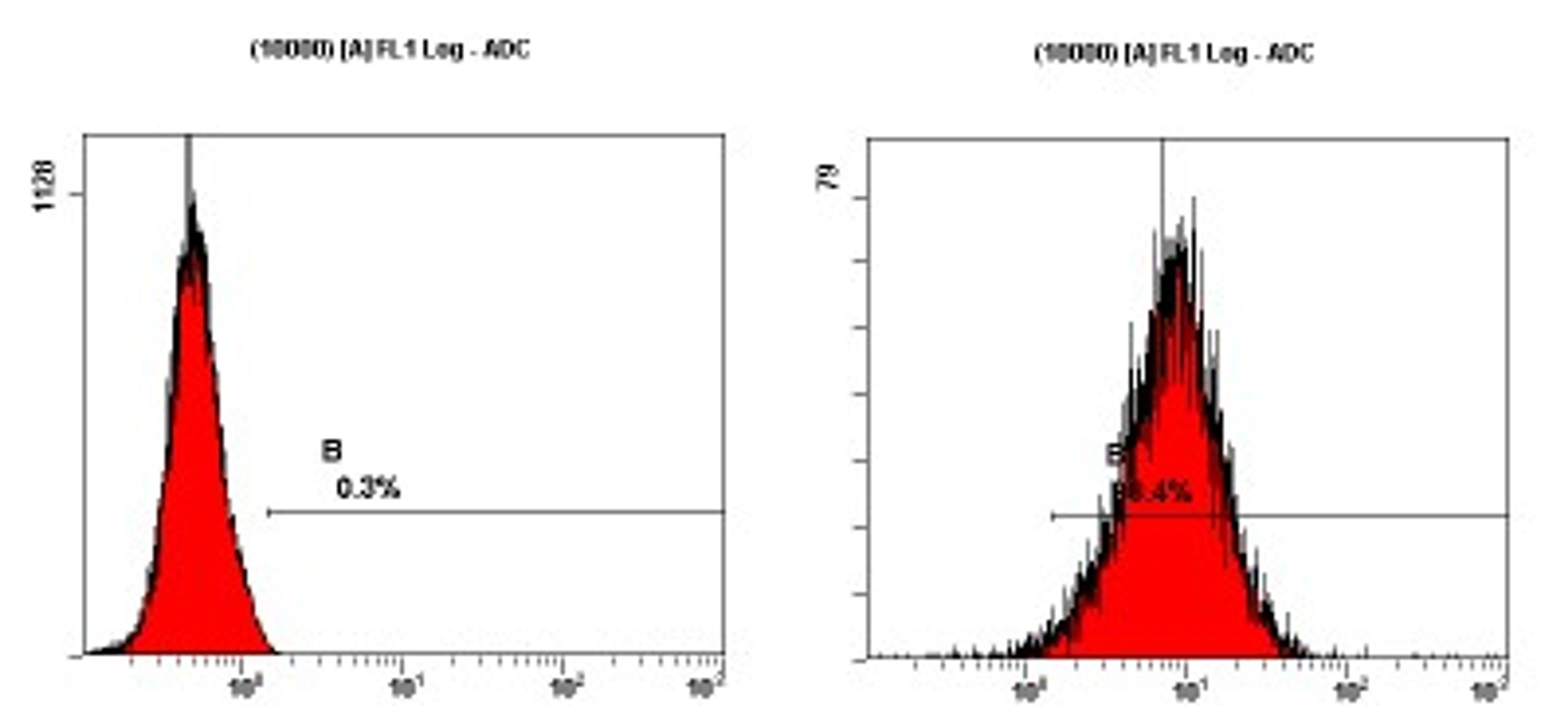 Flow Cytometry: SSEA3 Antibody (MC-631) [NB100-1832] - Staining of NTERA-2 cells using NB100-1832 at a 1:50 dilution detected using Dylight-488 conjugated goat anti-rat IgM secondary antibody.