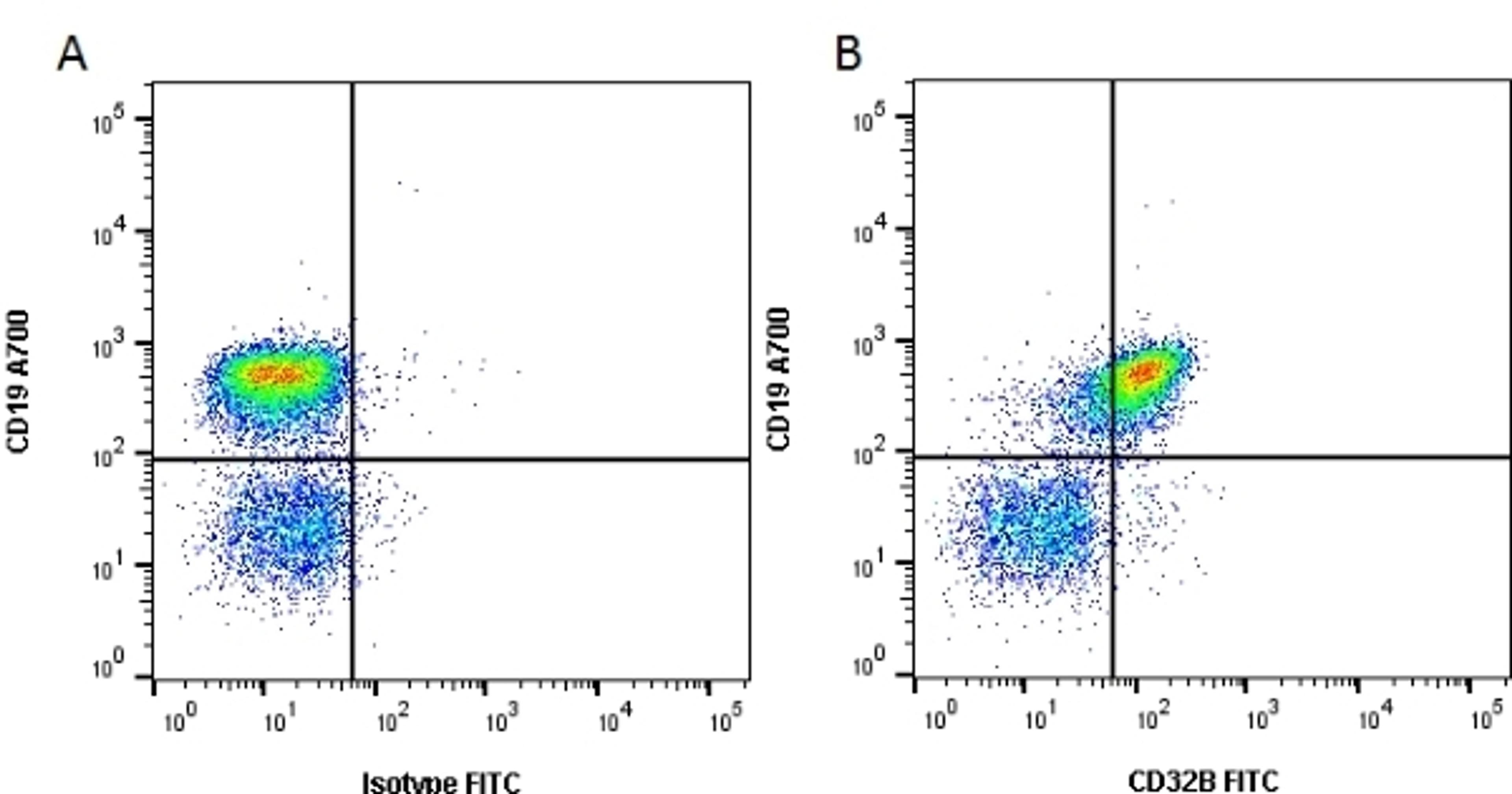 Figure A. Rat anti Mouse CD19. Figure B. Rat anti Mouse CD19 and Rat anti Mouse CD32B. 