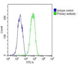 Overlay histogram showing HepG2 cells stained with Antibody (green line). The cells were fixed with 2% paraformaldehyde (10 min) and then permeabilized with 90% methanol for 10 min. The cells were then icubated in 2% bovine serum albumin to block non-spec