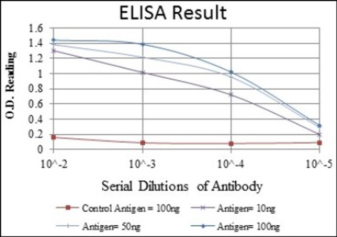 ELISA: CD15/Lewis X Antibody (4E10) [NBP2-22179] - Red: Control Antigen (100ng); Purple: Antigen (10ng); Green: Antigen (50ng); Blue: Antigen (100ng)