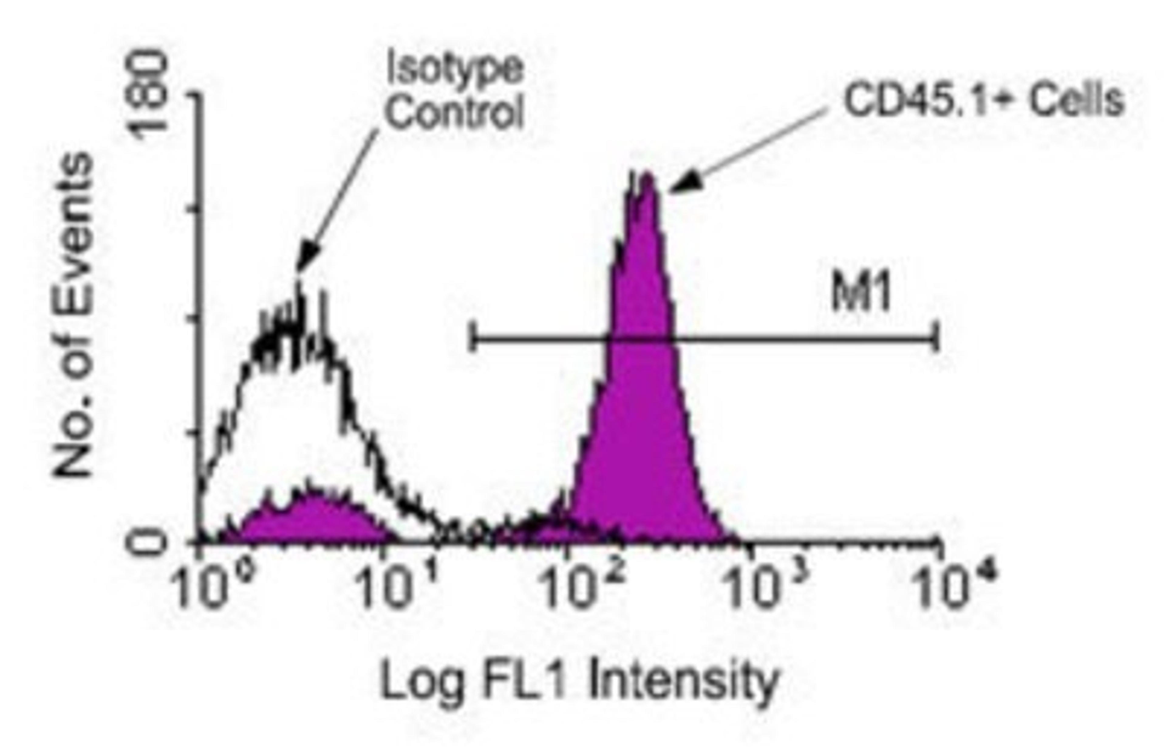 Flow Cytometry: CD45.1 Antibody (A20) [NBP1-28070] - Analysis using the FITC conjugate of NBP1-28070. Staining of less or equal to 1 ug/10^6 SJL spleen cells with mouse anti-mouse CD45.1-FITC, following which small lymphocytes were gated and analyzed on a flow cytometer.