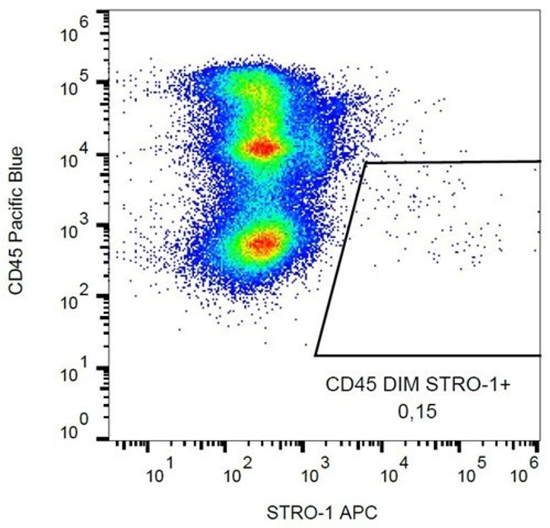 Flow cytometric analysis of human peripheral blood cells using STRO-1 antibody (APC)