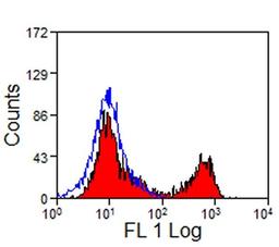 Horse peripheral blood lymphocytes stained with Mouse anti Horse CD8