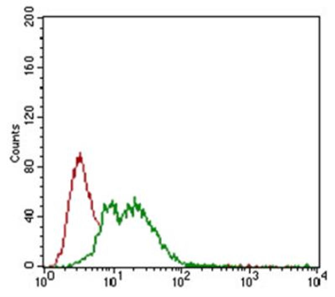 Flow Cytometry: NG2 Antibody (LHM 2) [NB100-2688] - NG2 antibody was tested at 1:400 in MCF7 cells using an Alexa Fluor 488 secondary (shown in green) alongside unstained cells (shown in red).