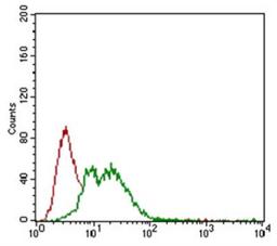 Flow Cytometry: NG2 Antibody (LHM 2) [NB100-2688] - NG2 antibody was tested at 1:400 in MCF7 cells using an Alexa Fluor 488 secondary (shown in green) alongside unstained cells (shown in red).