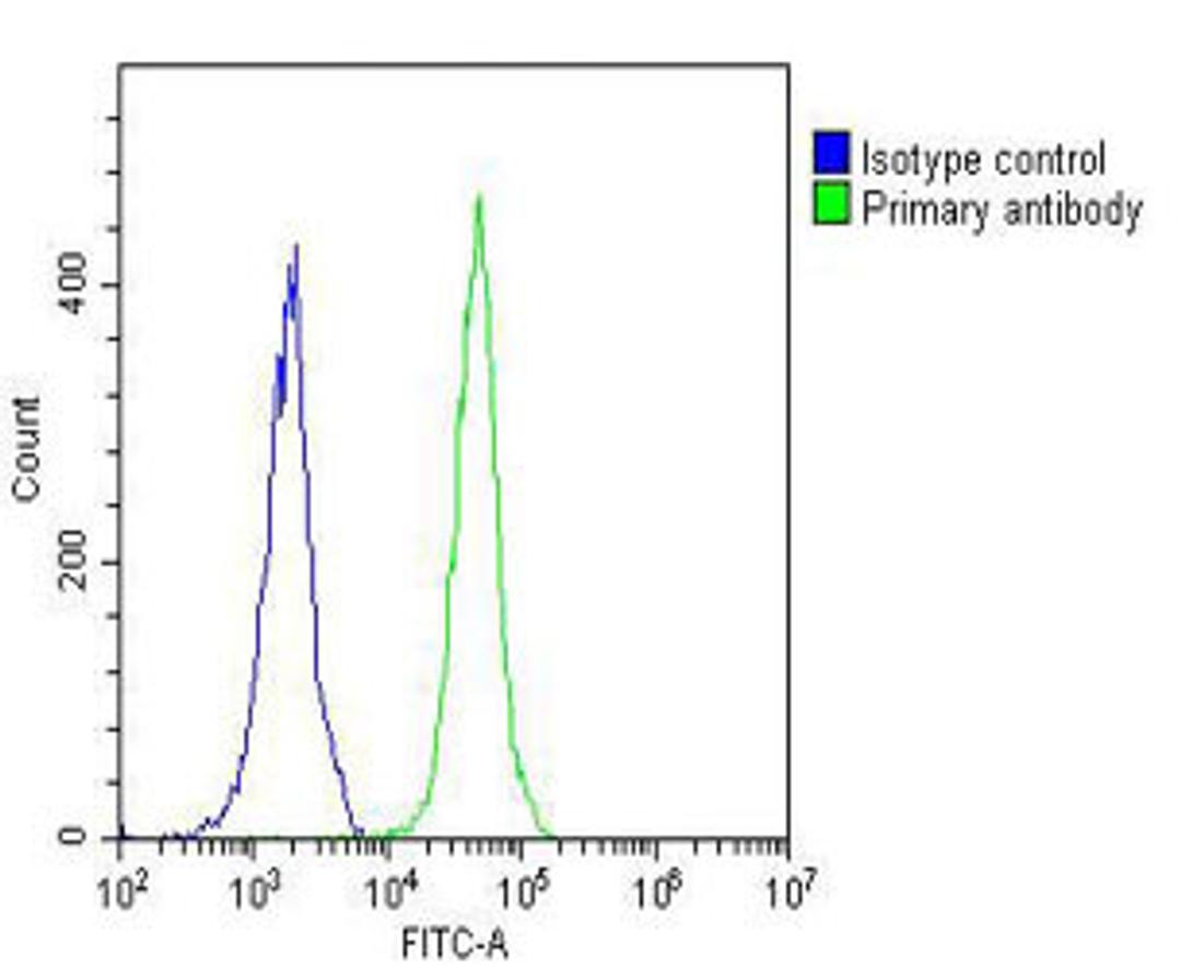 Overlay histogram showing Jurkat cells stained with Antibody (green line). The cells were fixed with 2% paraformaldehyde (10 min) and then permeabilized with 90% methanol for 10 min. The cells were then icubated in 2% bovine serum albumin to block non-spe