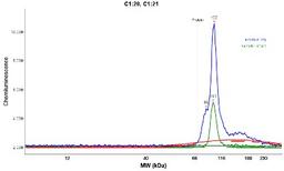 Simple Western: Schlafen 8 Antibody [NBP1-92368] - Electropherogram image(s) of corresponding Simple Western lane view. Schlafen 8 antibody was used at 1:20 dilution on MOLT-4 and HEK 239T lysate(s).