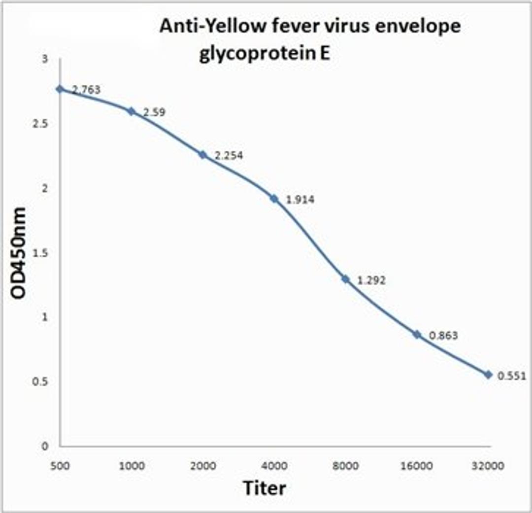 ELISA assay for quantitative determination of Envelope Glycoprotein Yellow Fever Virus antibody against Envelope Glycoprotein Yellow Fever Virus antigen present in serum and plasma