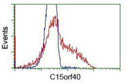 Flow Cytometry: C15orf40 Antibody (2B7) [NBP2-02751] - HEK293T cells transfected with either overexpression plasmid (Red) or empty vector control plasmid (Blue) were immunostained by anti-C15orf40 antibody, and then analyzed by flow cytometry.