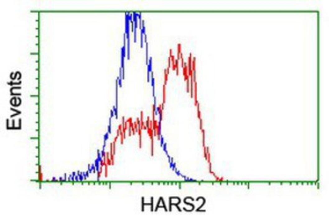 Flow Cytometry: HARS2 Antibody (5H2) [NBP2-01425] - HEK293T cells transfected with either overexpression plasmid (Red) or empty vector control plasmid (Blue) were immunostained by anti-HARS2 antibody, and then analyzed by flow cytometry.