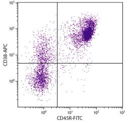 BALB/c mouse splenocytes were stained with Rat Anti-Mouse CD38-APC (Cat. No. 98-752) and Rat Anti-Mouse CD45R-FITC .