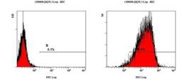 Flow Cytometry: CD11b/c Antibody [NB110-40766] - Detection of CD11 b/c in fixed Hela cells.