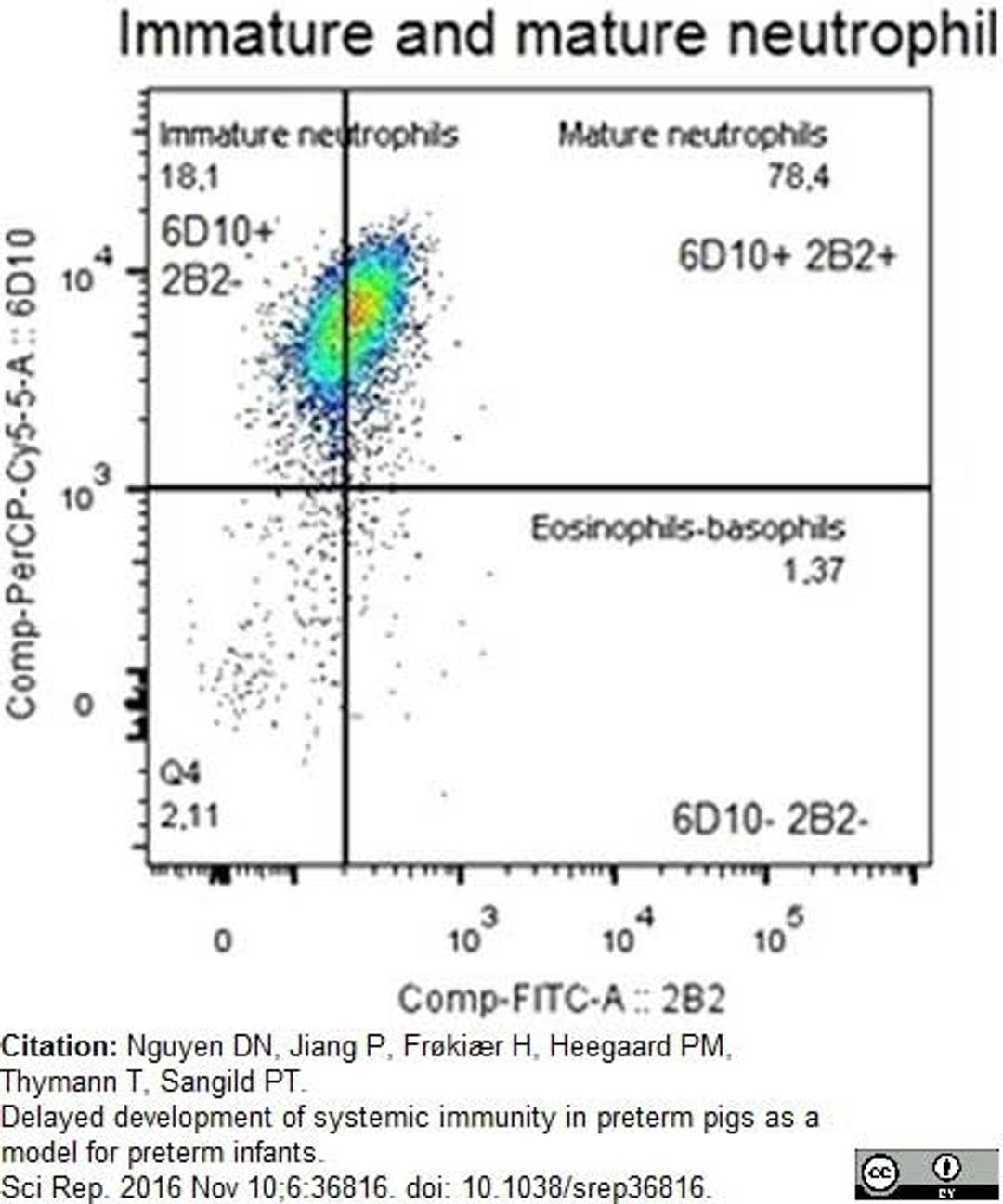 Mouse anti Porcine granulocytes antibody used to identify immature neutrophils in porcine blood