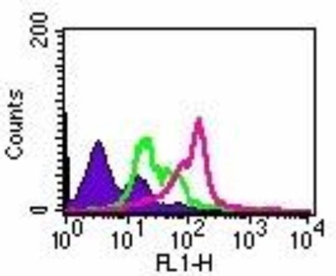 Flow Cytometry: TLR2 Antibody (TL2.1) [NB100-56722] - Intracellular flow analysis of TLR2 in 1x10^6 PBMCs using 2 ug of NB100-56722.  Shaded histogram represents cells without antibody; green represents isotype control (Sigma, Cat. No. M5409); purple represents anti-TLR2 antibody.