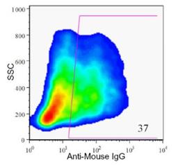 Flow Cytometry: HPx2 Antibody (HIC0-1C10) [NBP1-18952] - Analysis of enzyme dispersed human pancreas cells.