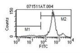 Flow Cytometry: Ly-6C Antibody (HK1.4) [NBP1-28046] - Analysis using the FITC conjugate of NBP1-28046. Staining of 1 ug on Balb/c Bone Marrow.