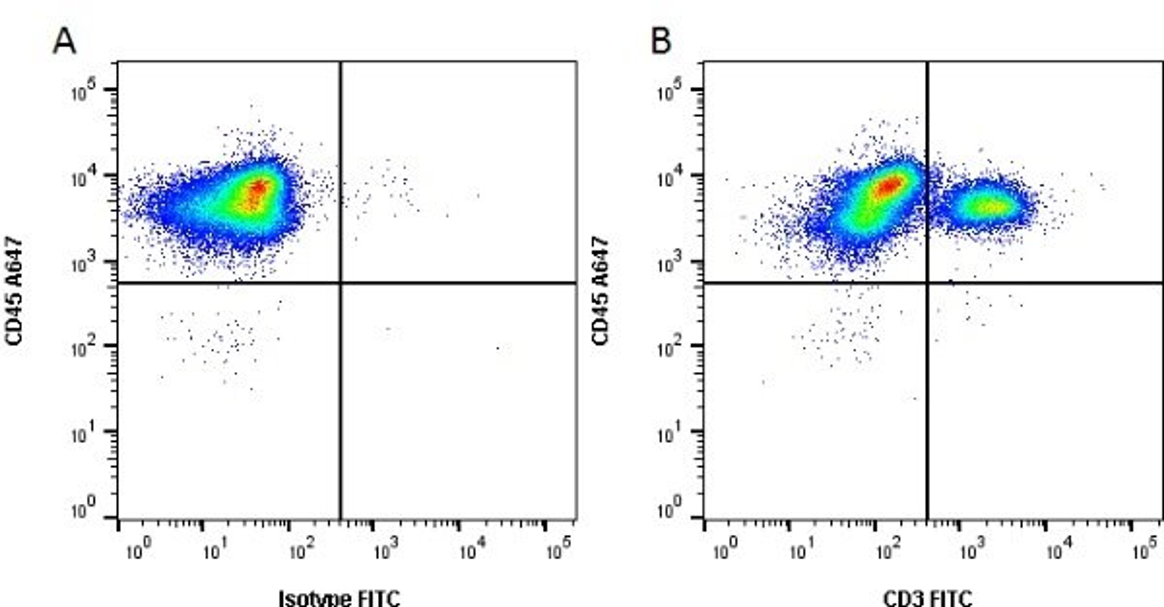 Staining of porcine peripheral blood lymphocytes with Mouse anti Pig CD3