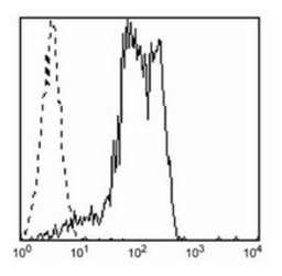 Flow cytometric analysis of human peripheral blood lymphocytes using CD81 antibody (FITC)