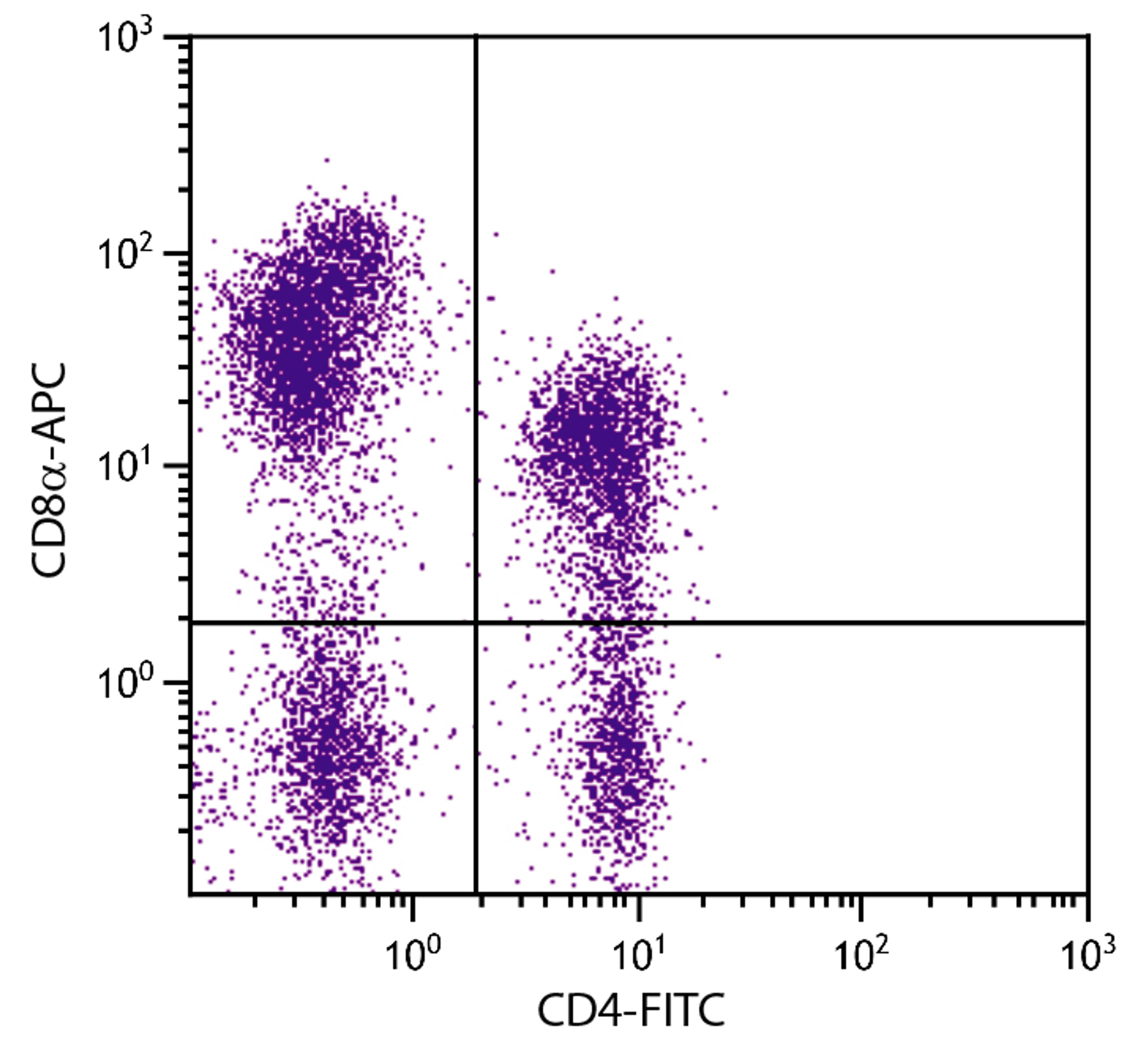 Porcine peripheral blood lymphocytes were stained with Mouse Anti-Porcine CD8?-APC (Cat. No. 99-152) and Mouse Anti-Porcine CD4-FITC .