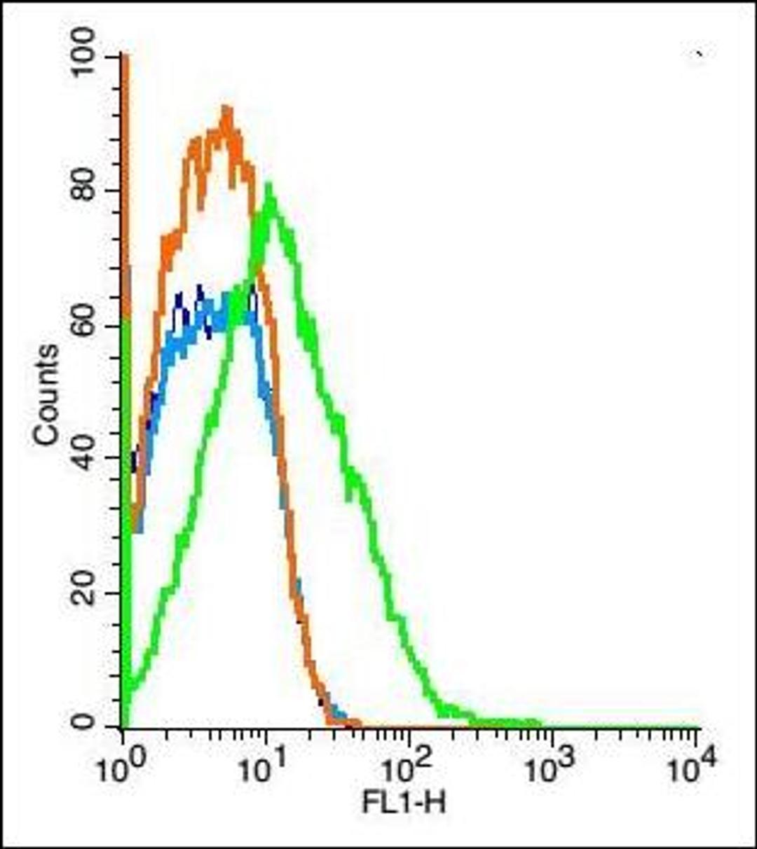 Flow cytometric analysis of (mo)nephrocyte Cell using TRPM6 antibody.