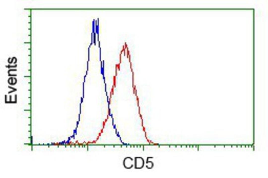 Flow Cytometry: CD5 Antibody (7A7) [NBP2-02690] - Analysis of Jurkat cells, using anti-CD5 antibody, (Red), compared to a nonspecific negative control antibody (Blue).