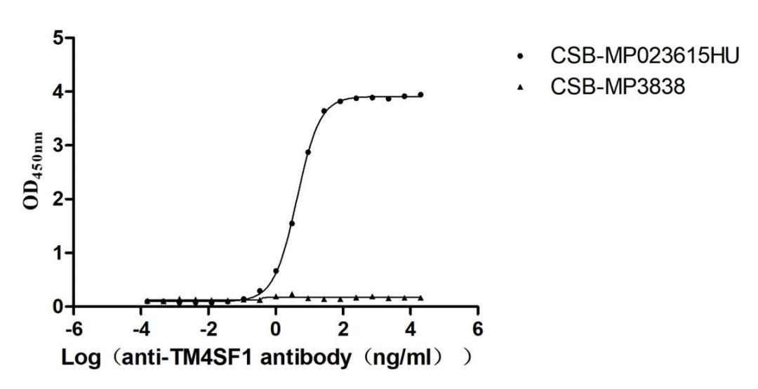 The Binding Activity of Human TM4SF1 with Anti-TM4SF1 recombinant antibody. Activity: Measured by its binding ability in a functional ELISA. Immobilized Human TM4SF1(CSB-MP023615HU) at 5 μg/mL can bind Anti-TM4SF1 recombinant antibody. the EC<sub>50</sub> is 4.079-4.472 ng/mL.. The VLPs (CSB-MP3838) is negative control.