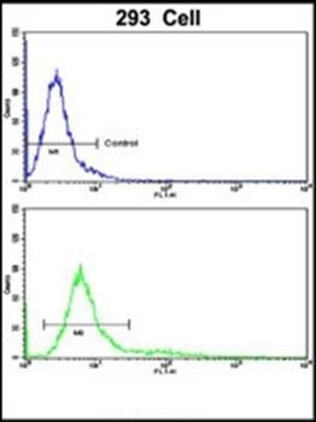 Flow cytometric analysis of 293 cells using RAB13 antibody (primary antibody dilution at: 1:10-50)