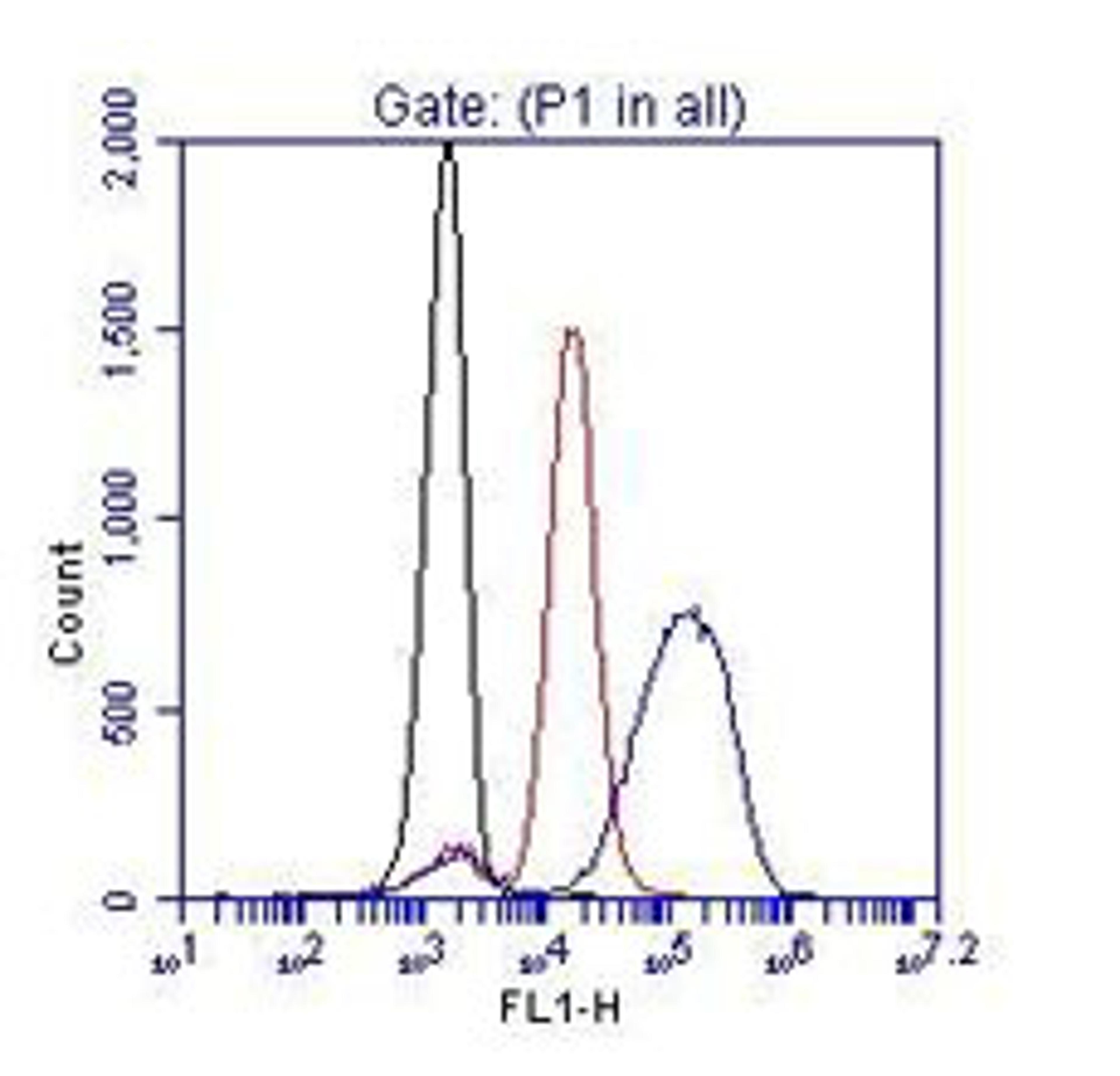 Flow cytometric analysis of phospho-Zap70 (Y319).