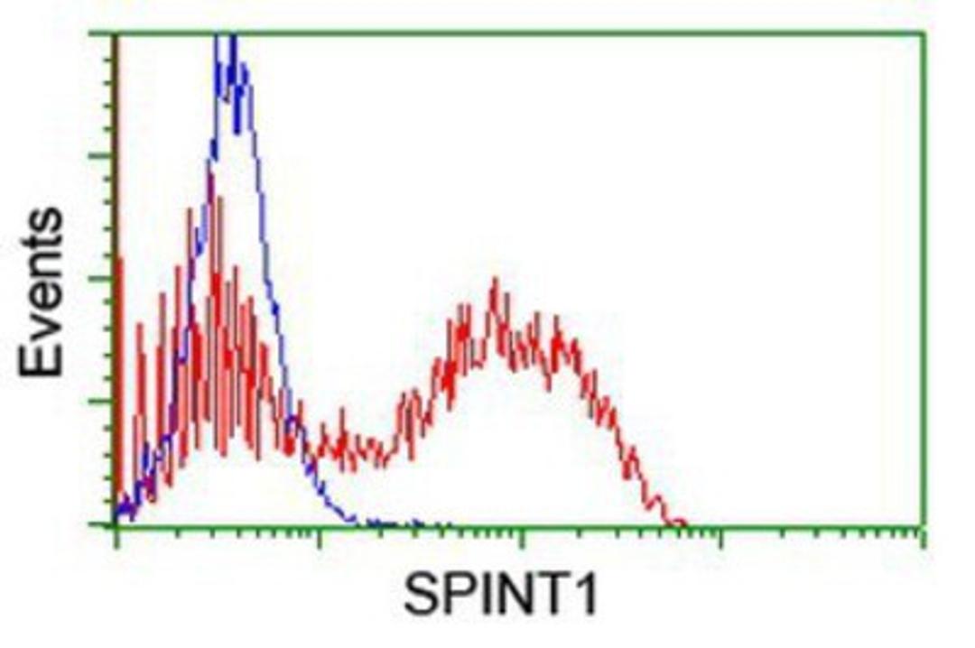 Flow Cytometry: HGFA Inhibitor 1 Antibody (4H2) [NBP2-01969] - HEK293T cells transfected with either overexpression plasmid (Red) or empty vector control plasmid (Blue) were immunostained by anti-HGFA Inhibitor 1 antibody, and then analyzed by flow cytometry.