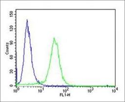 Flow cytometric analysis of Hela cells using PCSK9 antibody (dilution of primary antibody at 1:25)