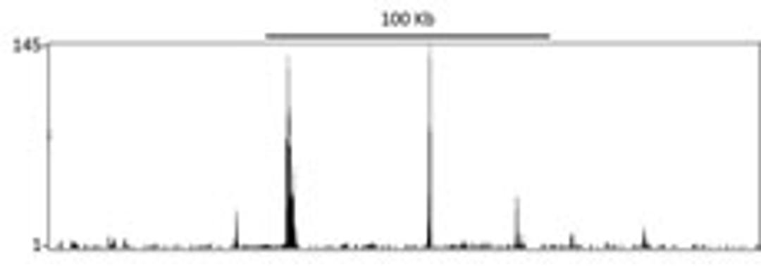 Localization of RelA Binding Sites by ChIP-sequencing.