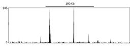 Localization of RelA Binding Sites by ChIP-sequencing.