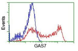 Flow Cytometry: GAS7 Antibody (2F6) [NBP2-03061] - HEK293T cells transfected with either overexpression plasmid (Red) or empty vector control plasmid (Blue) were immunostained by anti-GAS7 antibody, and then analyzed by flow cytometry.