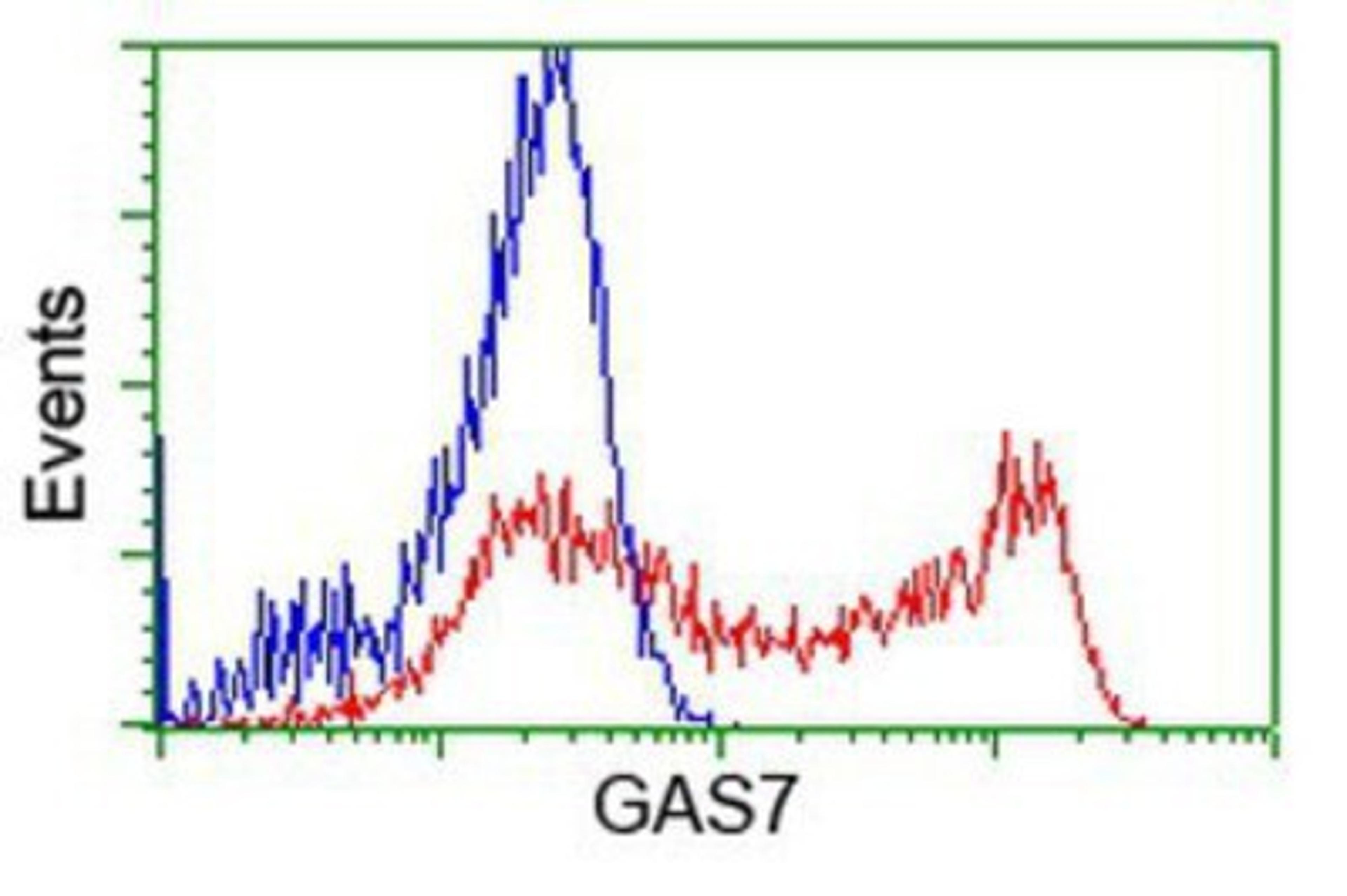 Flow Cytometry: GAS7 Antibody (2F6) [NBP2-03061] - HEK293T cells transfected with either overexpression plasmid (Red) or empty vector control plasmid (Blue) were immunostained by anti-GAS7 antibody, and then analyzed by flow cytometry.