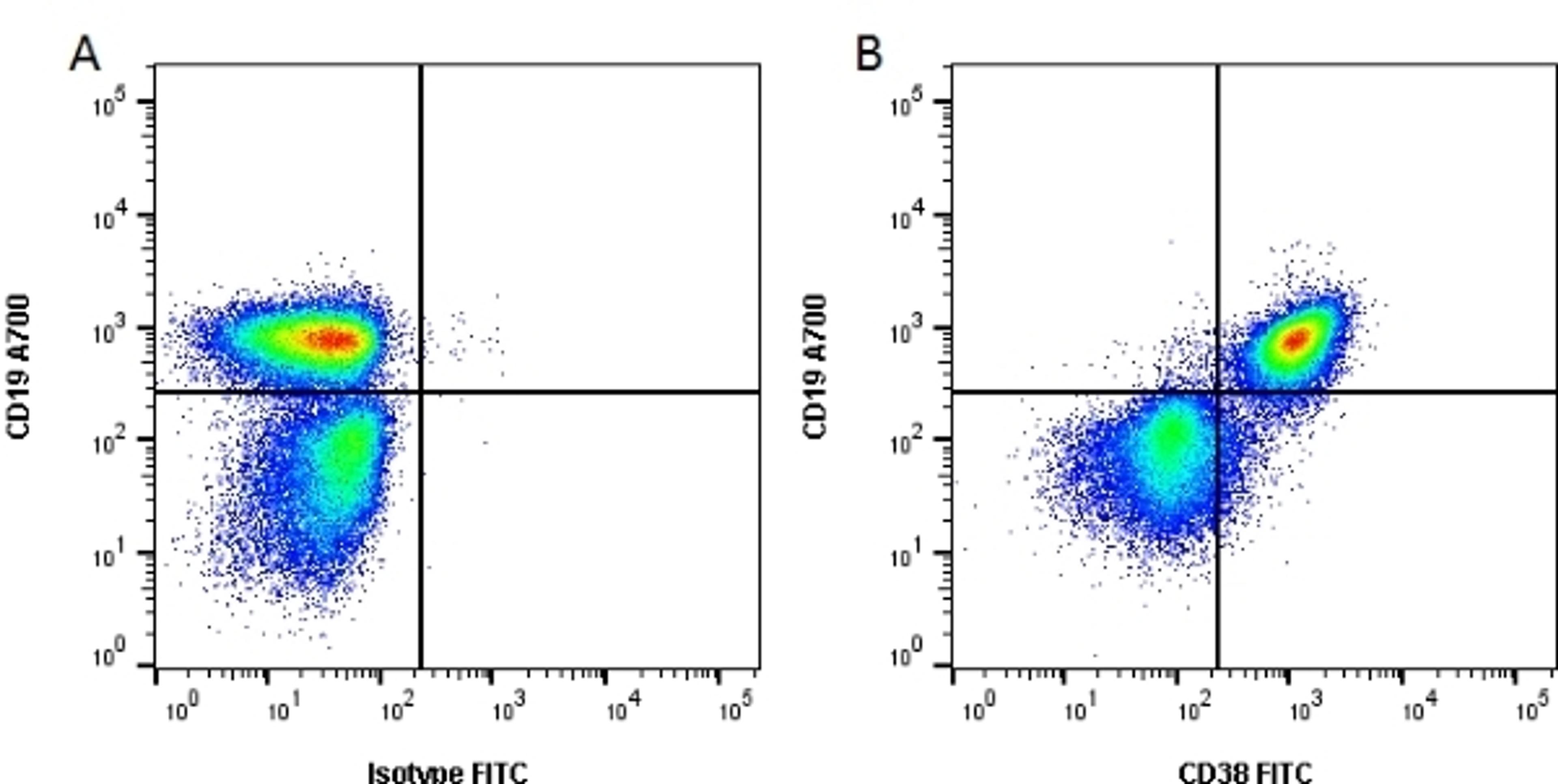 Figure A. rat anti mouse CD19. Figure B. rat anti mouse CD19 and rat anti mouse CD38. 