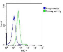 Overlay histogram showing Hela cells stained with Antibody (green line). The cells were fixed with 2% paraformaldehyde (10 min) and then permeabilized with 90% methanol for 10 min. The cells were then icubated in 2% bovine serum albumin to block non-speci