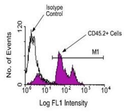 Flow Cytometry: CD45.2 Antibody (104) [NB100-77542] - Analysis using the FITC conjugate of NB100-77542. Staining of less or equal to 1 ug/10^6 BALB/c bone marrow cells with anti-mouse CD45.2-FITC, following which small lymphocytes were gated and analyzed on a flow cytometer.