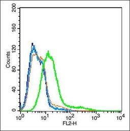 Flow cytometric analysis of LOVO cells using HFE antibody.