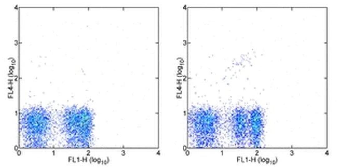 TCR gamma/delta Antibody (17-5711-82) in Flow