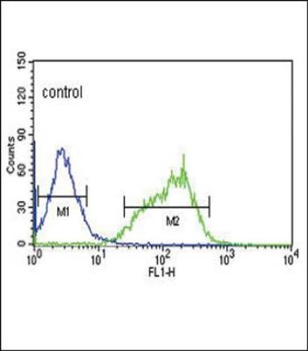 Flow Cytometry: Glutaminase Antibody [NBP2-29940] - flow cytometric analysis of HepG2 cells (right histogram) compared to a negative control cell (left histogram).FITC-conjugated goat-anti-rabbit secondary antibodies were used for the analysis.