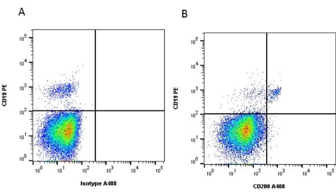 Figure A. Mouse anti Human CD19. Figure B. Mouse anti Human CD19 and Mouse anti Human CD200.