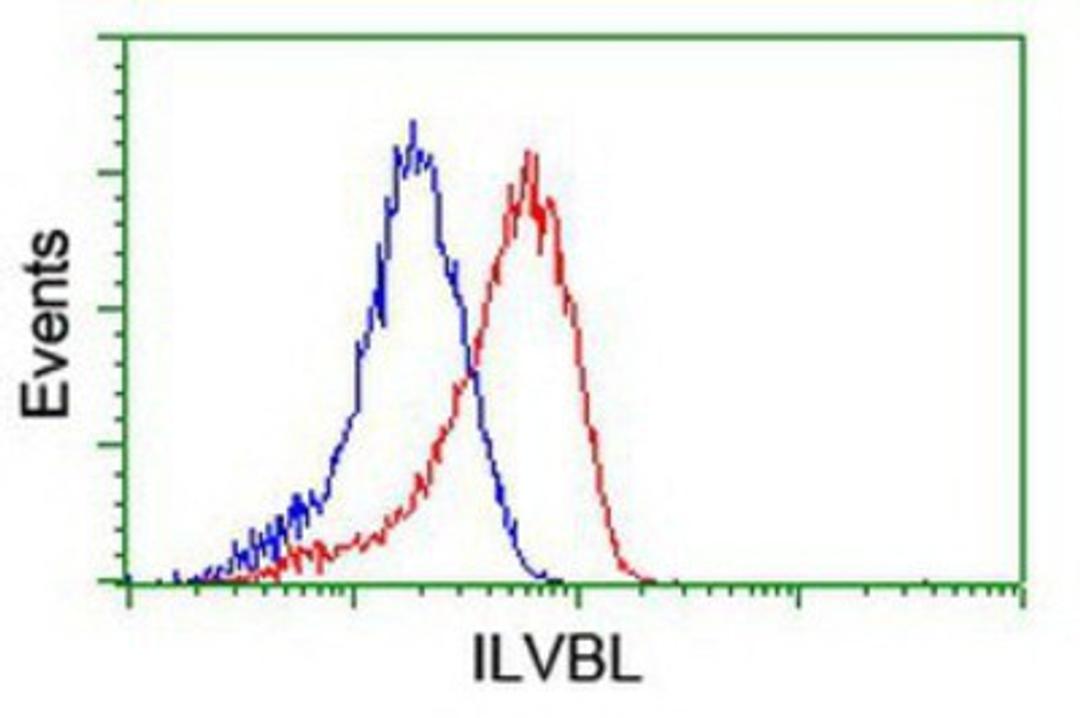 Flow Cytometry: ILVBL Antibody (8B12) [NBP2-00883] - Analysis of Hela cells, using anti-ILVBL antibody, (Red), compared to a nonspecific negative control antibody (Blue).