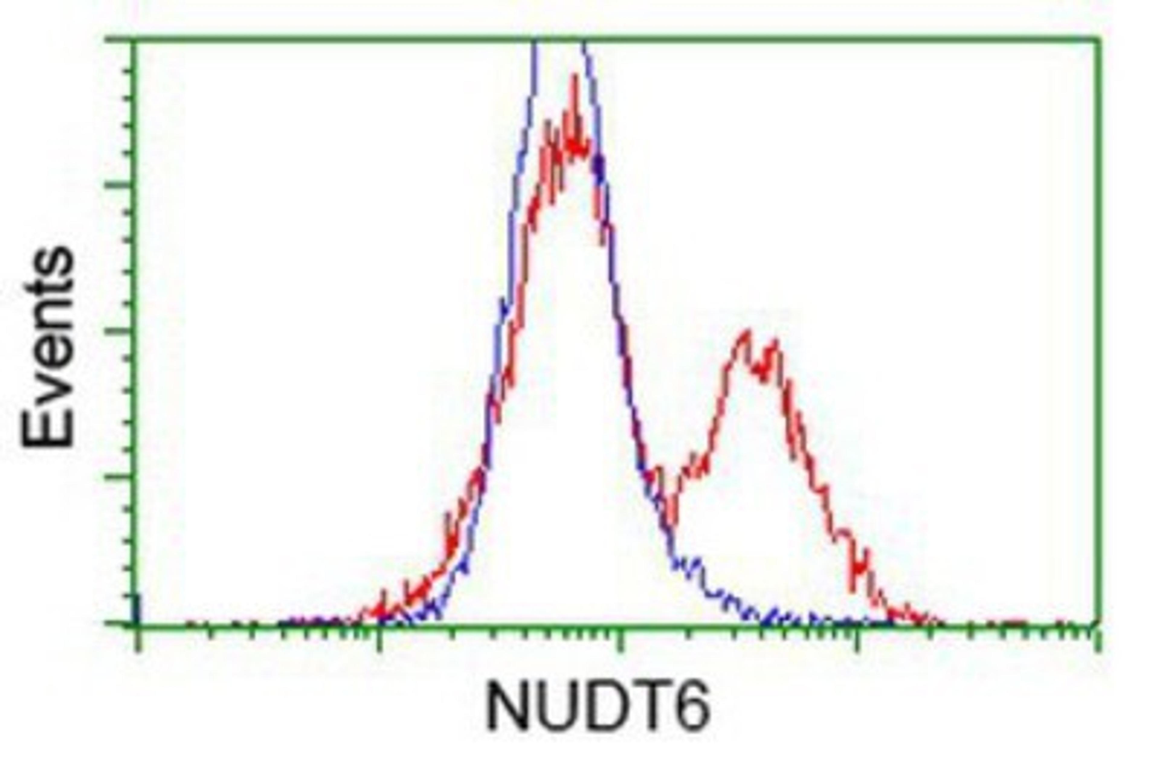 Flow Cytometry: NUDT6 Antibody (9D12) [NBP2-03554] - HEK293T cells transfected with either overexpression plasmid (Red) or empty vector control plasmid (Blue) were immunostained by anti-NUDT6 antibody, and then analyzed by flow cytometry.