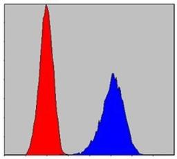 Flow Cytometry: Pirh2 Antibody (1H10) [NBP1-51604] - Flow cytometric analysis of PC-12 cells using anti-Pirh2 mAb (blue) and negative control (red).