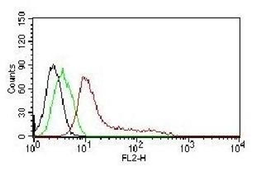 Flow cytometric analysis of MCF-7 Cells using HNA antibody