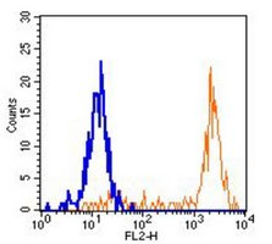 Flow cytometric analysis of human peripheral blood monocytes using CD64 antibody (PE)