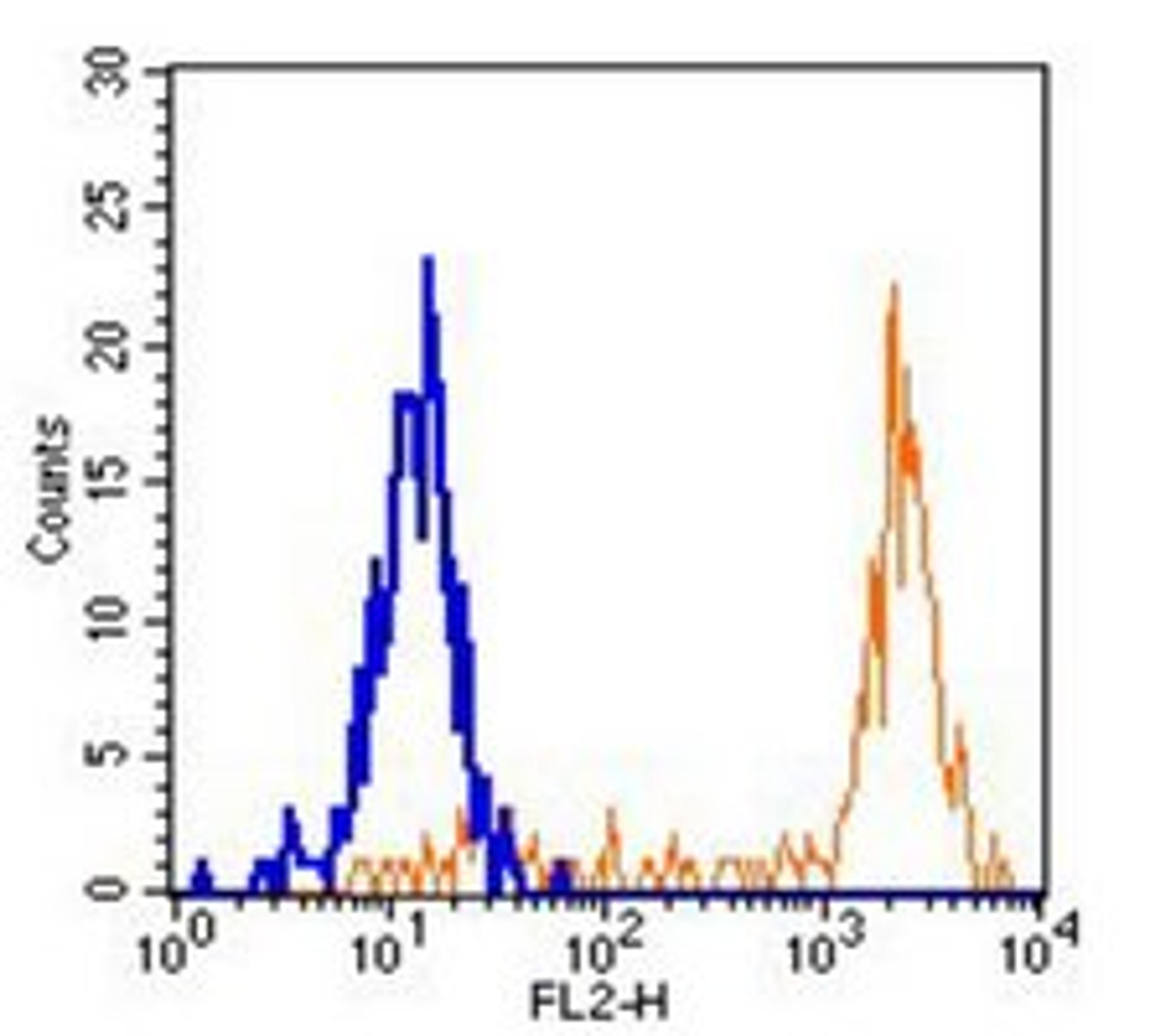 Flow cytometric analysis of human peripheral blood monocytes using CD64 antibody (PE)