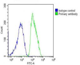 Overlay histogram showing MCF-7 cells stained with Antibody (green line). The cells were fixed with 2% paraformaldehyde (10 min) and then permeabilized with 90% methanol for 10 min. The cells were then icubated in 2% bovine serum albumin to block non-spec