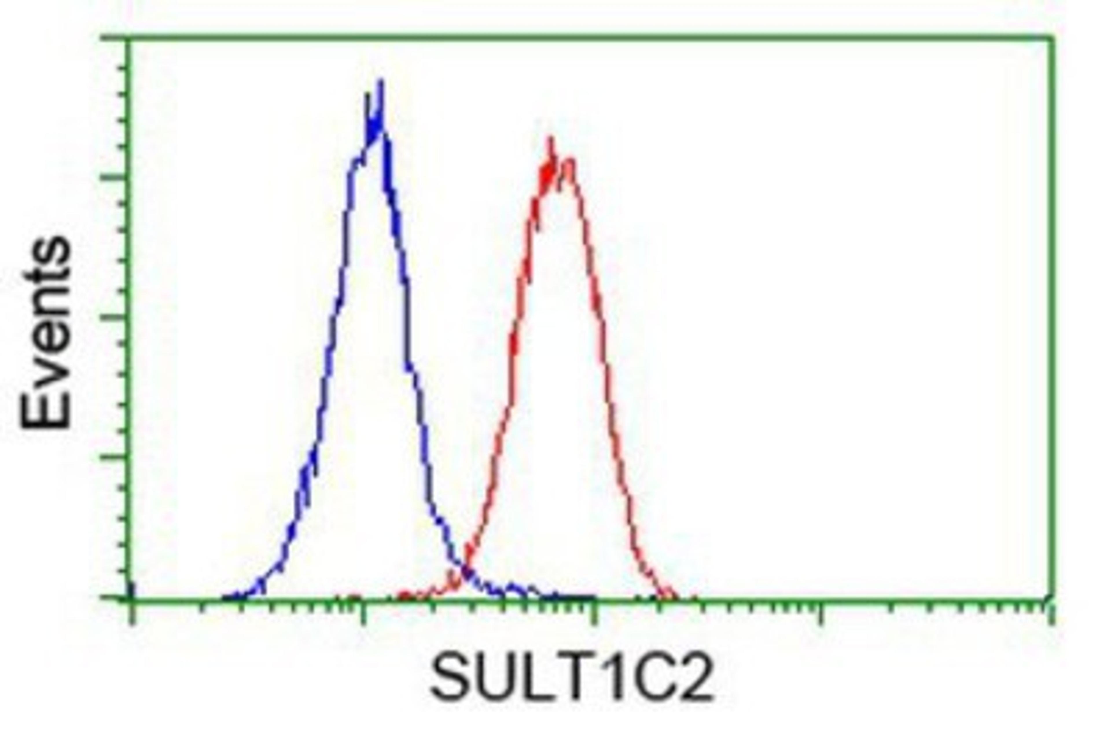 Flow Cytometry: SULT1C2 Antibody (4G1) [NBP2-00486] - Analysis of Hela cells, using anti-SULT1C2 antibody, (Red), compared to a nonspecific negative control antibody (Blue).