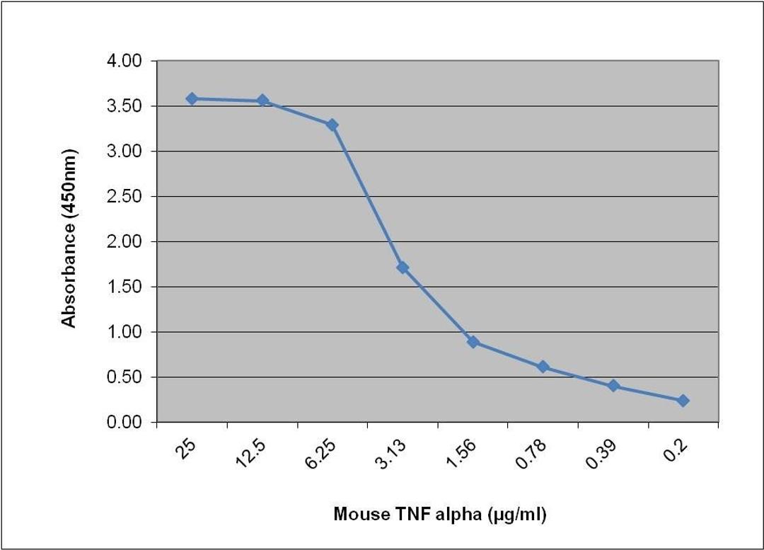 Recombinant Mouse TNF alpha (PMP24) detected in a sandwich assay with Rat anti Mouse TNF alpha